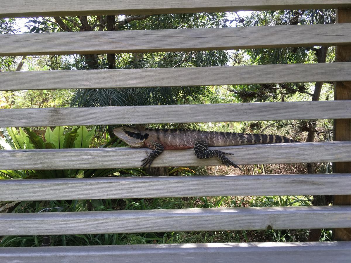 Discovery Parks - Lane Cove Sydney Esterno foto