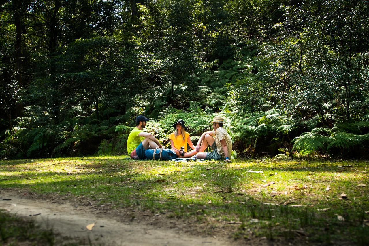 Discovery Parks - Lane Cove Sydney Esterno foto